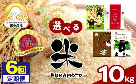 【定期便6回】熊本県産 ひのひかり 10kg×6回 | 米 こめ お米 おこめ 白米 精米 定期 定期便 熊本県 玉名市