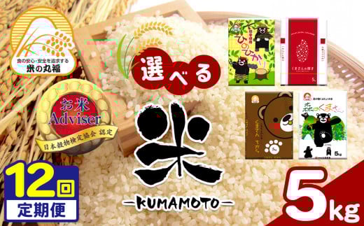 【定期便12回】 熊本県産 森のくまさん 5kg×12回 | 米 こめ お米 おこめ 白米 精米 定期 定期便 熊本県 玉名市