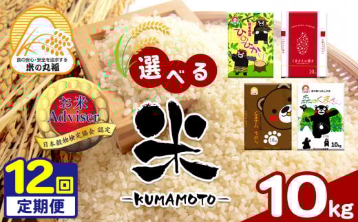 【定期便12回】 お米アドバイザーにおまかせ 10kg×12回 | 米 こめ お米 おこめ 白米 精米 定期 定期便 熊本県 玉名市