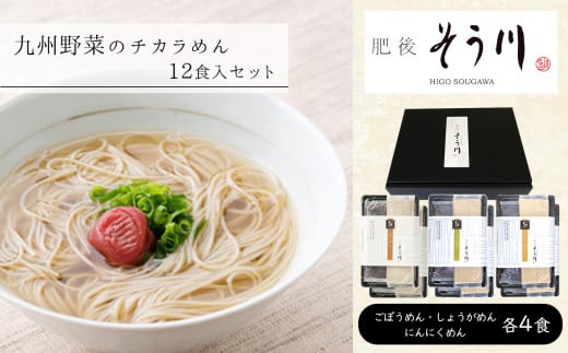 九州野菜のチカラめん オリジナルセット 計12食入り| 麺 ごぼうめん しょうがめん にんにくめん 熊本 玉名