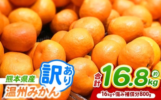訳あり 熊本県産 温州 みかん 約 16.8kg (16kg+傷み補償分800g) | フルーツ 果物 くだもの 柑橘 みかん ミカン オレンジ 温州ミカン 熊本県 玉名市 みかん 名産地 甘い みかん