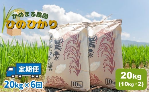 【定期便6回】 かめまる農園 「 ひのひかり 」 20kg × 6回 | 米 こめ お米 おこめ 白米 精米 ヒノヒカリ 熊本県 玉名市 定期 定期便