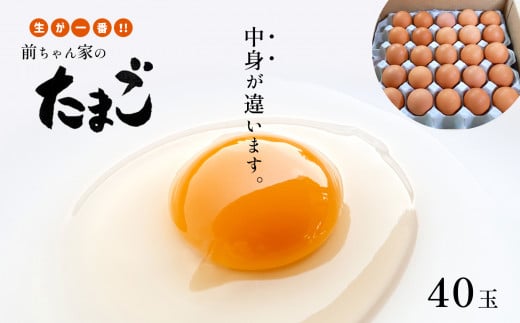 新鮮 生が一番 前ちゃん家のたまご 赤玉子 40玉 | 玉子 たまご 卵 赤卵 旨味 Mサイズ Lサイズ 新鮮 卵かけごはん 朝食 こだわり 熊本県 玉名市