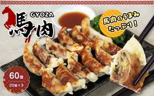 馬肉 餃子 60個 ( 20個 × 3 ) | 食品 加工品 肉 お肉 馬肉 餃子 ぎょうざ 一口サイズ 熊本県 玉名市