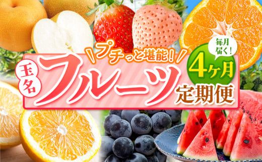 【 定期便 4回 】 プチっと 堪能 ! 人気 フルーツ | 赤いちご 白いちご みかん 不知火 デコポン スイカ ぶどう 梨 太秋柿 果物 くだもの 定期便 4回 熊本県 玉名市
