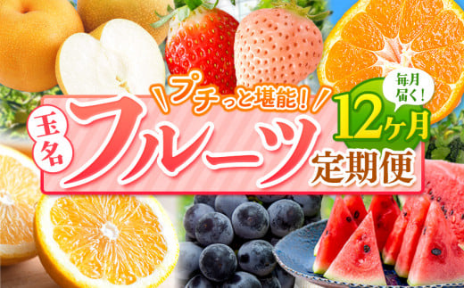 【 定期便 12回 】 プチっと 堪能 ! 人気 フルーツ | 赤いちご 白いちご みかん 不知火 デコポン スイカ ぶどう 梨 太秋柿 果物 くだもの 定期便 12回 熊本県 玉名市