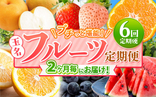 【 定期便 6回 】 2ヵ月毎にお届け!プチっと 堪能 ! 人気 フルーツ ( いちご 白いちご みかん 不知火 スイカ ぶどう 梨 柿 果物 ) | 果物 くだもの フルーツ 定期 熊本県 玉名市