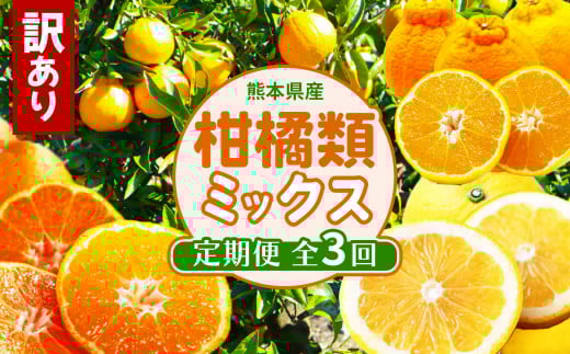 【 定期便 3回 】 おためし 訳あり 柑橘類 定期便 みかん 不知火 河内晩柑 後藤農園 | フルーツ 果物 くだもの 柑橘 ご家庭用 家庭用 熊本県 玉名市