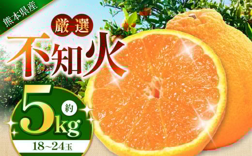 こだわり栽培 厳選 不知火 約 5kg (18~24玉)  iFARM 岩城農園 | フルーツ 果物 くだもの 柑橘類 柑橘 不知火 しらぬい 5キロ 熊本県 玉名市