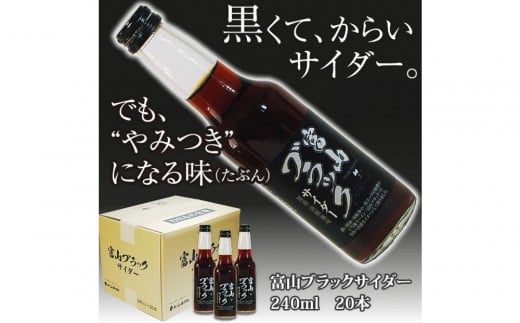 ブラックサイダー 1ケース20本 炭酸飲料 サイダー ソフトドリンク 黒いサイダー