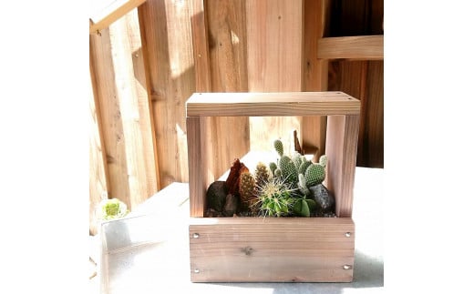 富山県産杉のウッドプランター「箱庭アレンジ」