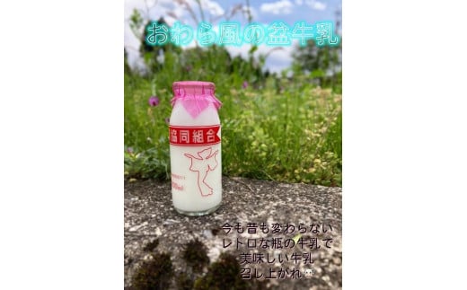 Yatsuo MILK (牛乳)10本セット 富山八尾のおいしいビン牛乳