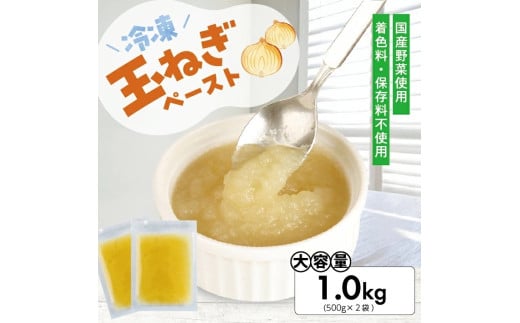 1179TN1000G 冷凍玉ねぎペースト1.0kg(500g×2袋)