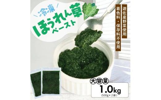 1181HO1000G 冷凍ほうれん草ペースト1.0kg(500g×2袋)
