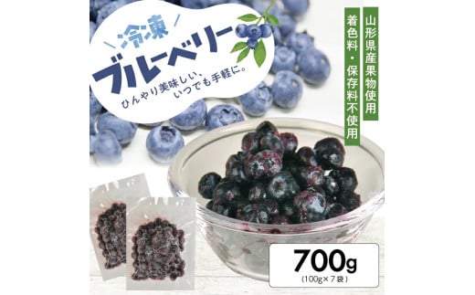 1177BB700G 冷凍ブルーベリー700g(100g×7袋)
