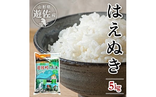 1241R07 遊佐産はえぬき5kg(令和7年産米)