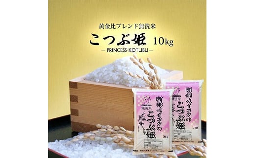 1252R07M11b 無洗米 こつぶ姫 5kg×2袋 計10kg 11月中旬