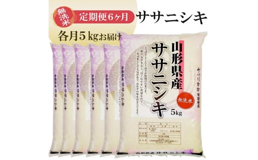 1265T11 【定期便】無洗米ササニシキ5kg×6ヶ月連続(11月~4月)