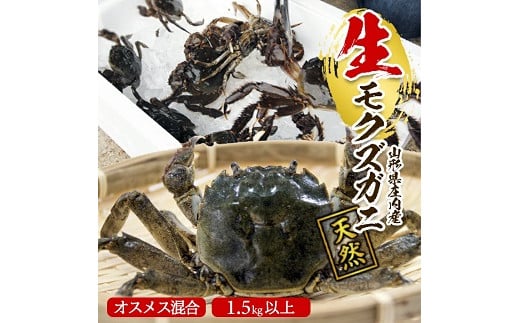 849 生・天然モクズガニ 1.5kg以上 8~15匹