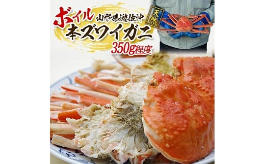 850　遊佐沖　ボイル・本ズワイガニ 1匹 350g程度