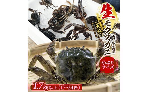 972　生・天然モクズガニ 1.7kg以上 小ぶりサイズ17～24匹