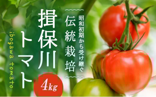 G-9【昭和初期から受け継ぐ伝統栽培】酸味と甘みのバランスがよい「揖保川トマト」4kg【発送時期：12月～６月】