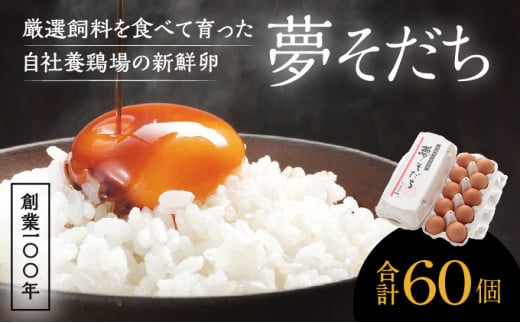 H-56 創業100年の藤橋商店が育んだ「夢そだち(60個)」厳選飼料を食べて育った自社養鶏場の新鮮卵を♪