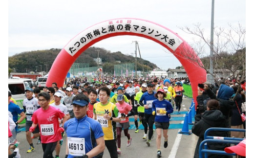 G-48 【※記入必須事項あり】たつの市梅と潮の香マラソン大会参加権(一般の部・ハーフ/10km)※たつの市民申し込み不可