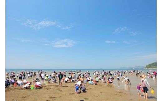 H-70 新舞子潮干狩りペアチケット