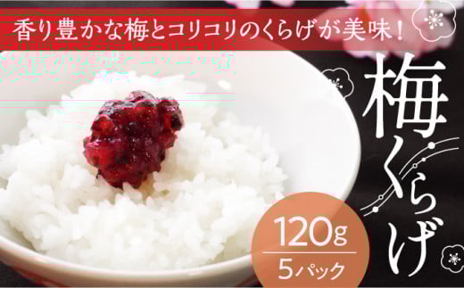 H-83【国産紀州南高梅使用】梅くらげ120g×5パック