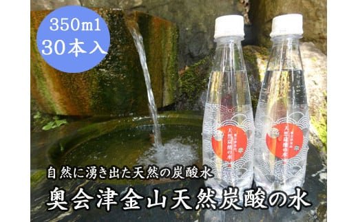 奥会津金山天然炭酸の水(350mlペットボトル)30本