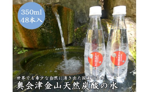 奥会津金山天然炭酸の水(350mlペットボトル)48本