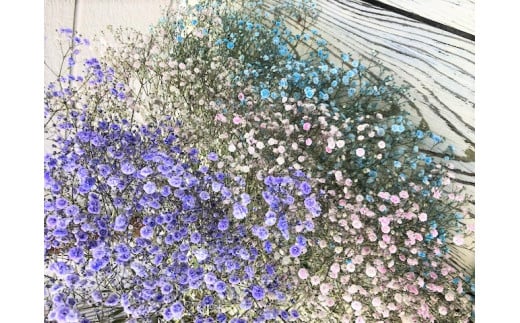 金山町産 2色のかすみ草花束