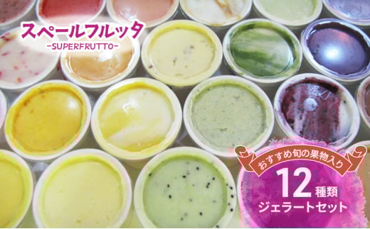 おすすめ旬の果物入り 12種類ジェラートセット アイス ジェラート 旬の果物 チョコレート 抹茶ミルク ピスタチオ 食べ比べ セット 詰合せ お取り寄せ 文京区 東京 [№5338-0186]
