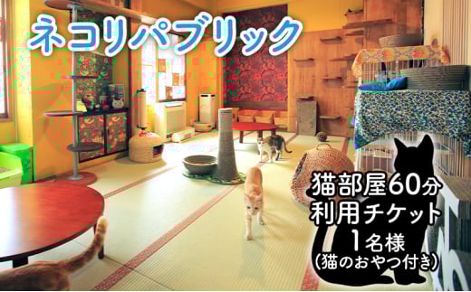 チケット 東京 猫部屋60分利用チケット猫用おやつ付き 猫 ネコ ねこ カフェ 保護猫カフェ 動物 ふれあい 利用チケット 利用券 体験 商品券 入場券 おやつ 里親 文京区 東京都 [№5338-0116]