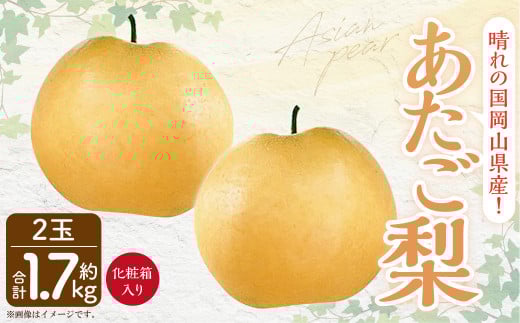 岡山県産 あたご梨 2玉 (約1.7kg) 化粧箱入り 【2025年11月下旬~12月下旬発送予定】 果物 くだもの フルーツ 梨 なし 贈答 ギフト 岡山 大玉