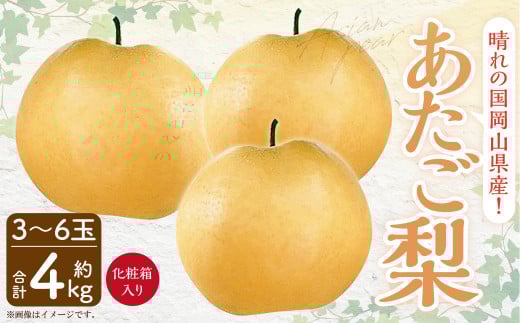 岡山県産 あたご梨 3-6玉 (約4kg) 化粧箱入り 【2025年11月下旬~12月下旬発送予定】 果物 くだもの フルーツ 梨 なし 贈答 ギフト 岡山 大玉