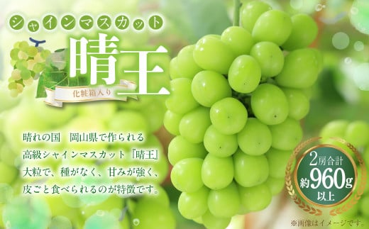 シャインマスカット 晴王 2房(1房480g以上) 計960g以上 化粧箱入り 【2025年8月下旬~11月上旬迄発送予定】 ぶどう ブドウ 葡萄 マスカット 種なし 果物 くだもの フルーツ 冷蔵 国産