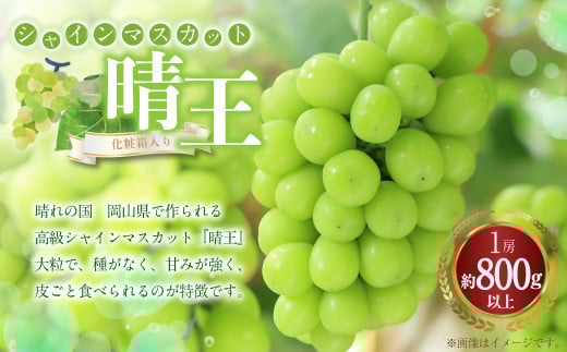 シャインマスカット 晴王 1房(800g以上) 化粧箱入り 【2025年8月下旬~11月上旬迄発送予定】 ぶどう ブドウ 葡萄 マスカット 種なし 果物 くだもの フルーツ 冷蔵 国産