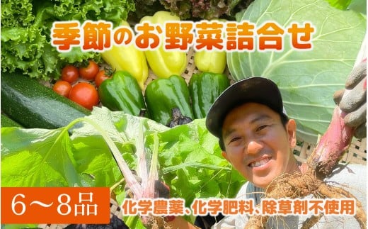 季節のお野菜6～8種セット | 野菜の詰め合わせ 野菜セット セット商品 旬 新鮮 産地直送 とうもろこし レタス キャベツ 人参 小松菜 ナス なす ジャガイモ じゃがいも トマト ズッキーニ ししとう 大根 白菜 里芋 さといも ニンニク にんにく 野沢菜 サツマイモ さつまいも 長ネギ 長ねぎ ブロッコリー チンゲン菜 きゅうり ピーマン 玉ねぎ ほうれん草 春野菜 夏野菜 秋野菜 冬野菜