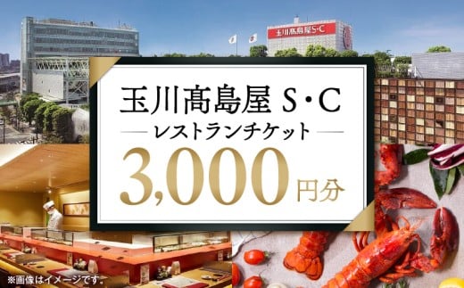 世田谷区ふるさと納税限定お礼品 二子玉川から望む世田谷区の街とグルメを楽しむ 玉川高島屋S・Cレストランチケット(3,000円分)[高島屋選定品] チケット 食事券 お食事券 レストラン デパート 東京 二子玉川 ランチ ディナー ギフト プレゼント 贈り物 贅沢 ご褒美 おすすめ