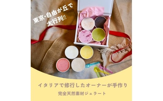 季節の天然素材ジェラート AmiCono seasonal 8種8CUPS SET【アイス デザート 氷菓子 スイーツ お取り寄せ お菓子 お土産 ギフト 贈答】