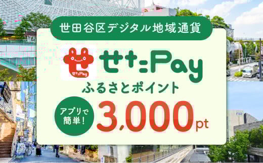 世田谷区 地域限定通貨「せたがやPay」 ふるさとポイント3,000pt(1pt=1円)3,000円分 せたぺい デジタル地域通貨 電子決済 キャッシュレス 飲食 宿泊 体験 電子通貨 東京都 世田谷