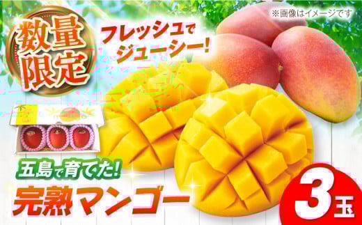 【先行予約】栄養満点 五島産完熟マンゴー (3玉入) 五島市/HPIファーム [PCP001] フルーツ くだもの