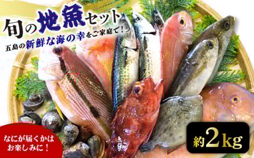 旬の地魚セット2kg（エラ/内臓処理済） 五島市/五島FF[PBJ010]