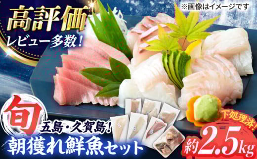 【五島列島産】高級朝獲れ鮮魚 約2.5kg（真空パック/下処理済） 五島市/マルセイ水産[PBT002] 海鮮 刺身 高級 セット さかな 鮮魚 新鮮 五島 久賀島 旬 さしみ