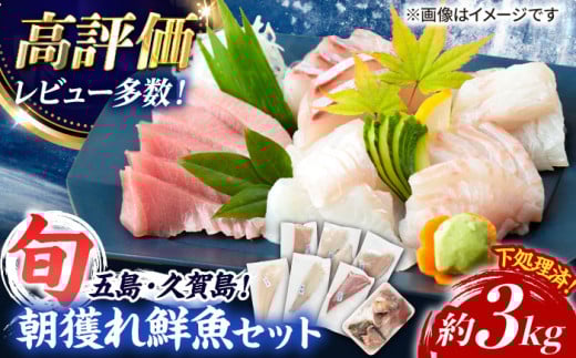 【五島列島産】高級朝獲れ鮮魚 約3kg（真空パック/下処理済） 五島市/マルセイ水産[PBT001] 刺身 五島 久賀島 海鮮 セット 旬 さかな さしみ