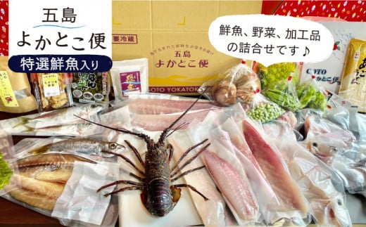五島よかとこ便 特選鮮魚入り 野菜 加工品 おまかせ お楽しみ セット 五島市 / GOTO challenged 椿 [PDU002]