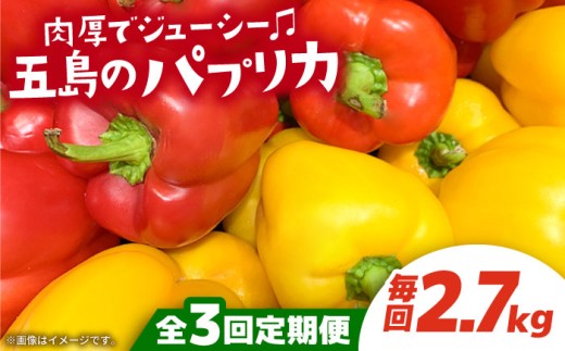 【全3回定期便】 五島のパプリカ 約2.7kg 五島市/HPIファーム [PCP004] 野菜 やさい 国産 新鮮 緑黄色野菜 産地直送 とれたて