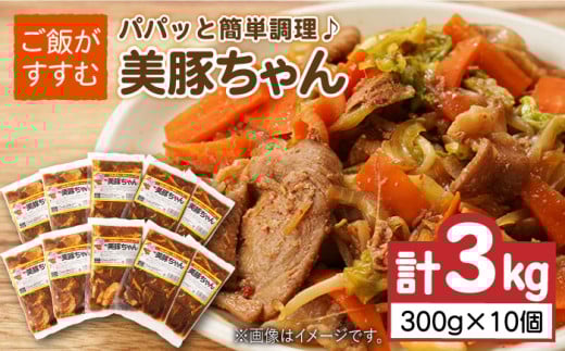 7日程度発送）美豚ちゃん300g×10個 五島市/長崎フードサービス[PEL013] 簡単 調理 豚肉 豚 レトルト パック 小分け 国産 焼肉 加工 肉 レトルト 簡単 おかず スピード 最短 最速 発送